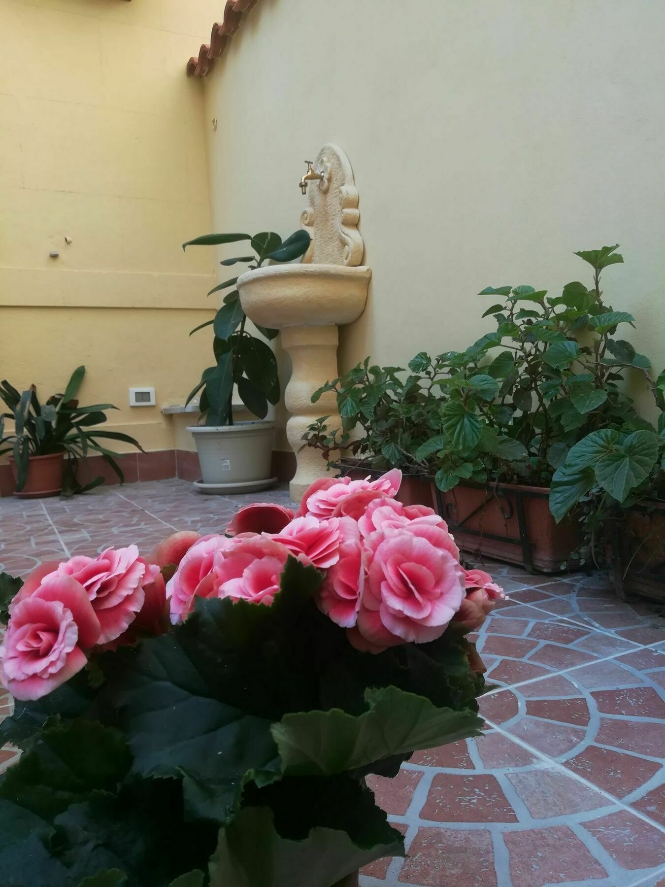 Le Rose Del Viale Hotel Palermo Exterior photo