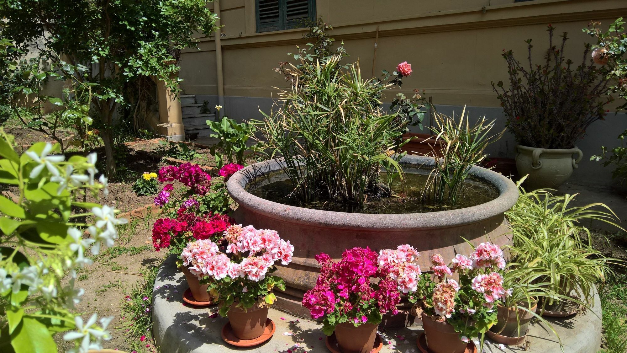 Le Rose Del Viale Hotel Palermo Exterior photo